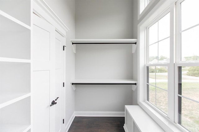 14 Deer Hollow Rd, Forest, VA 24551 - spacious closet with dark wood-style flooring