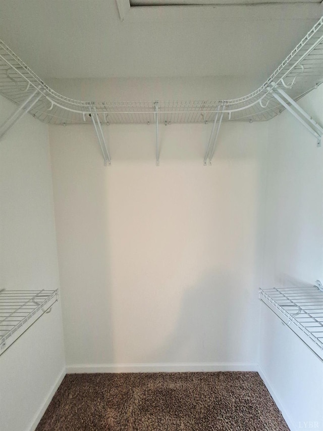 188 Oak Spring Ln, Madison Heights, VA 24572 - walk in closet with carpet