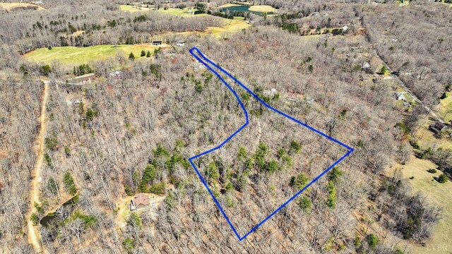 0 Old Cifax Rd, Goode, VA 24556 - photo 6