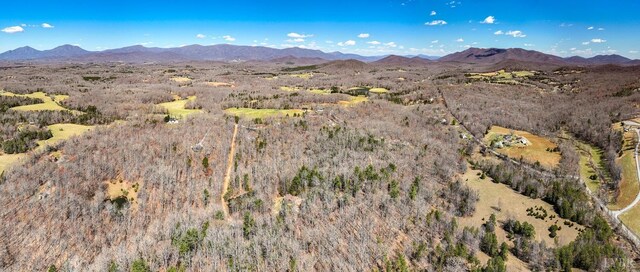 0 Old Cifax Rd, Goode, VA 24556 - photo 4