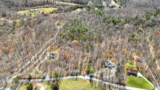 0 Old Cifax Rd, Goode, VA 24556 - photo 8