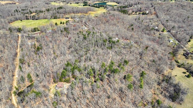 0 Old Cifax Rd, Goode, VA 24556 - photo 5