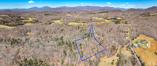 0 Old Cifax Rd, Goode, VA 24556 - photo 3