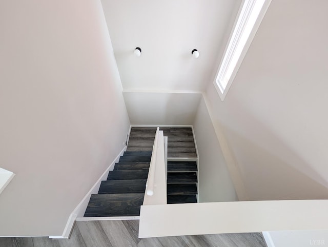 1077 Audubon Dr, Lynchburg, VA 24503 - photo 19