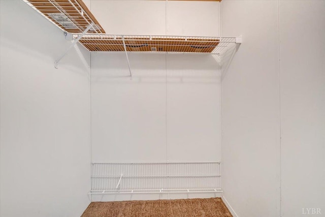 spacious closet featuring carpet