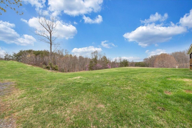 view of yard with a forest view