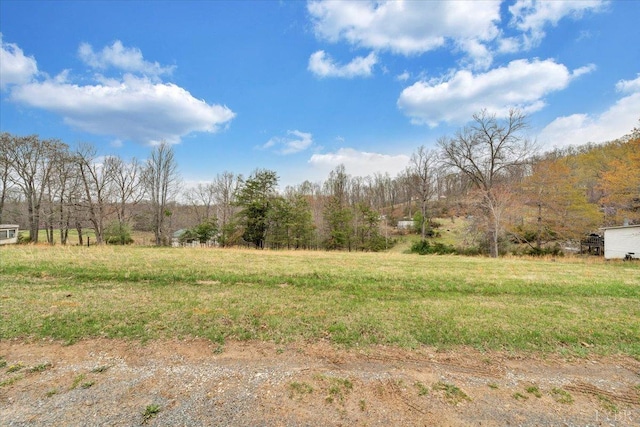 view of yard with a view of trees