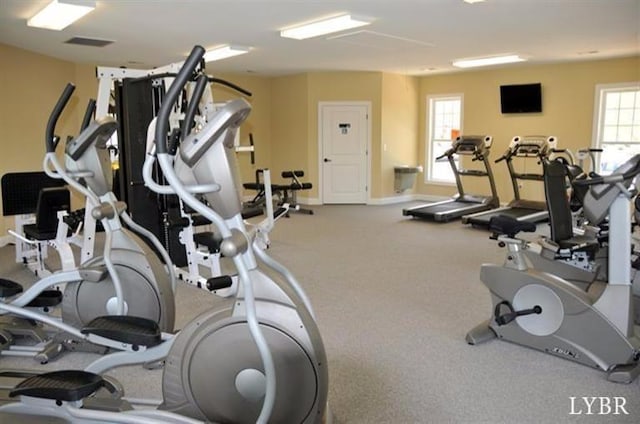 1300 Stoney Ridge Blvd Unit 206, Forest, VA 24551 - workout area featuring baseboards and visible vents