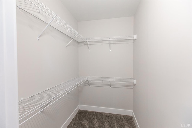 1300 Stoney Ridge Blvd Unit 206, Forest, VA 24551 - photo 19