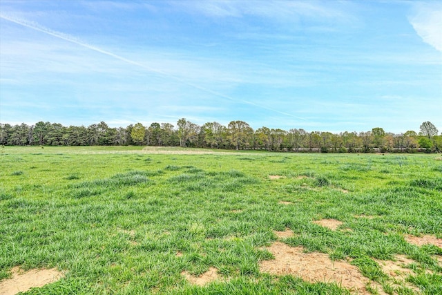 664 Collins Ferry Rd, Gladys, VA 24554 - view of yard featuring a view of rural / pastoral area and a forest view
