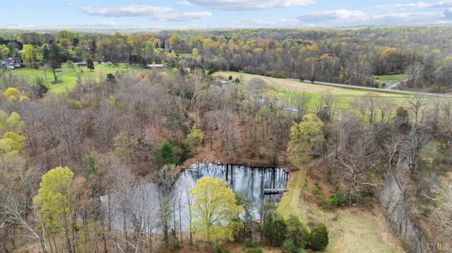 aerial view of property's location with a forest and a large body of water