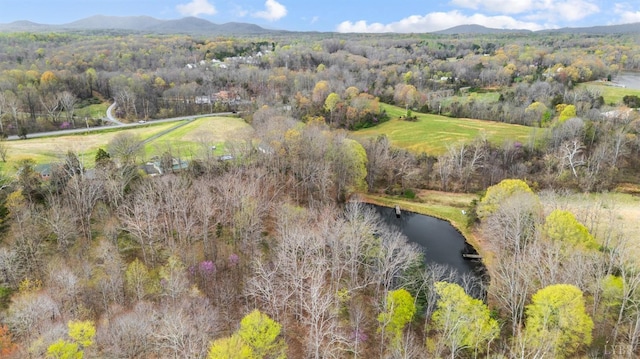 drone / aerial view of a water and mountain view and a forest