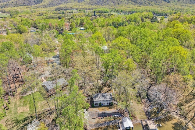 241 Locust Ln, Penhook, VA 24137 - photo 35
