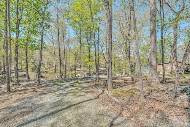 241 Locust Ln, Penhook, VA 24137 - photo 33