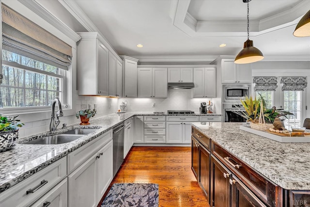 1062 Ivy Creek Dr, Forest, VA 24551 - kitchen featuring a sink, stainless steel appliances, under cabinet range hood, wood finished floors, and ornamental molding