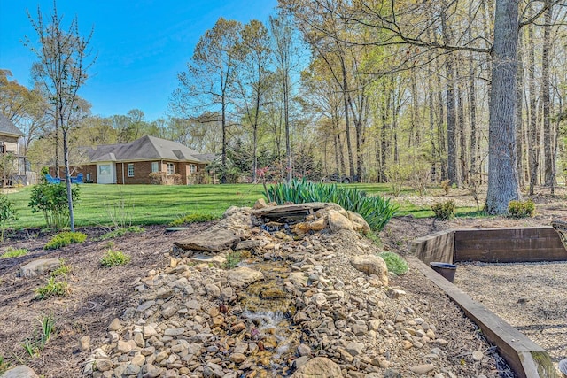 1062 Ivy Creek Dr, Forest, VA 24551 - view of grassy yard