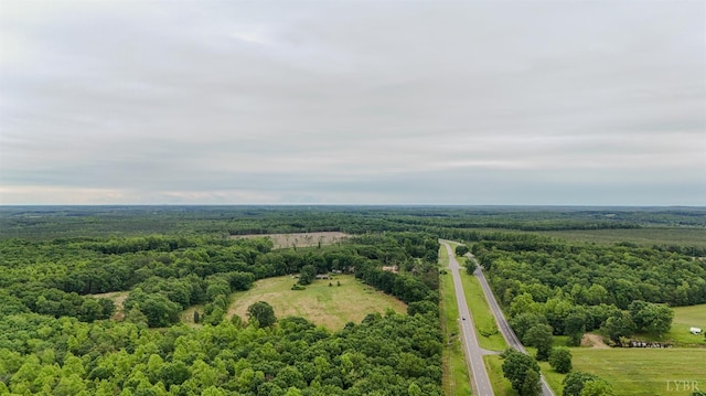 15939 Richmond Hwy, Pamplin, VA 23958 - bird's eye view of a forest