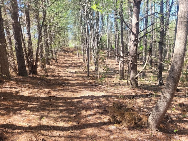 view of nature