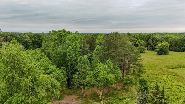 15939 Richmond Hwy, Pamplin, VA 23958 - view of local wilderness