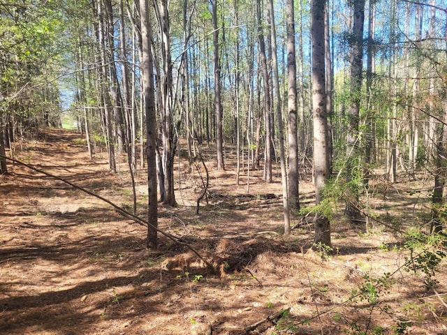 view of nature