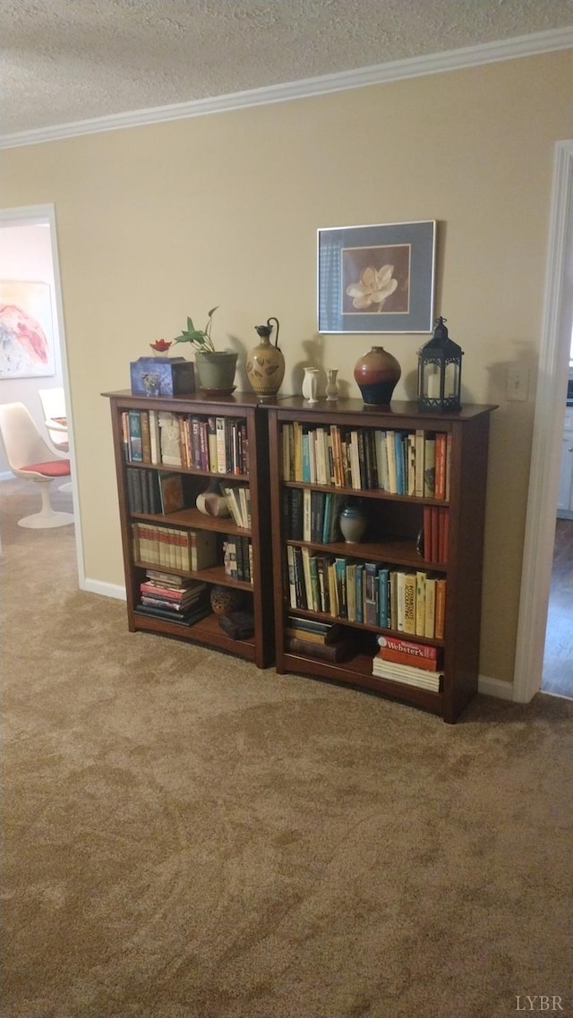 618 Prospect Rd, Hurt, VA 24563 - interior space with a textured ceiling, baseboards, crown molding, and carpet floors