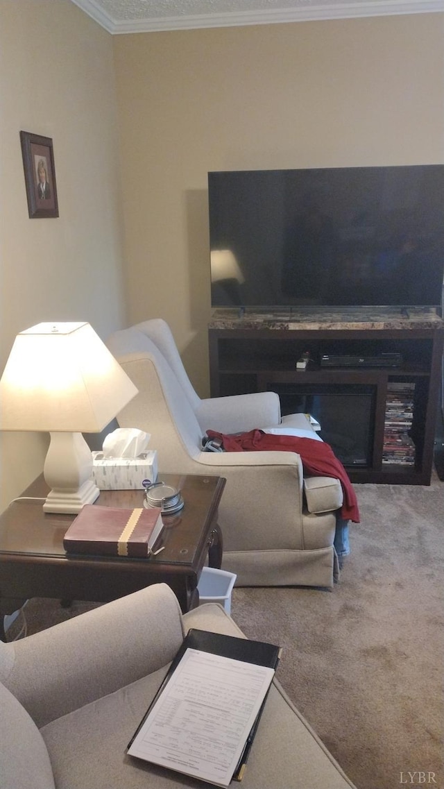 618 Prospect Rd, Hurt, VA 24563 - carpeted living area with ornamental molding