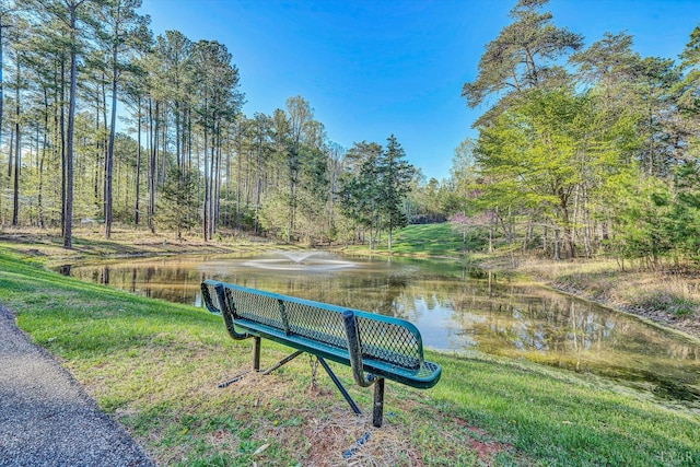 305 Runaway Bay Rd, Lynch Station, VA 24571