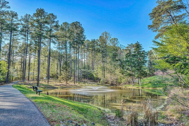 305 Runaway Bay Rd, Lynch Station, VA 24571