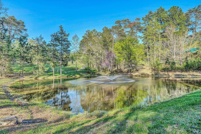 305 Runaway Bay Rd, Lynch Station, VA 24571