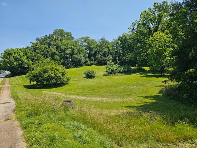 0 E Main St, Bedford, VA 24523 - photo 4