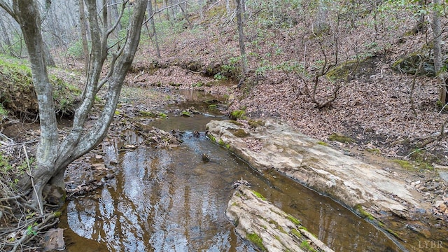 108 Trapper Ln, Vinton, VA 24179 - view of nature