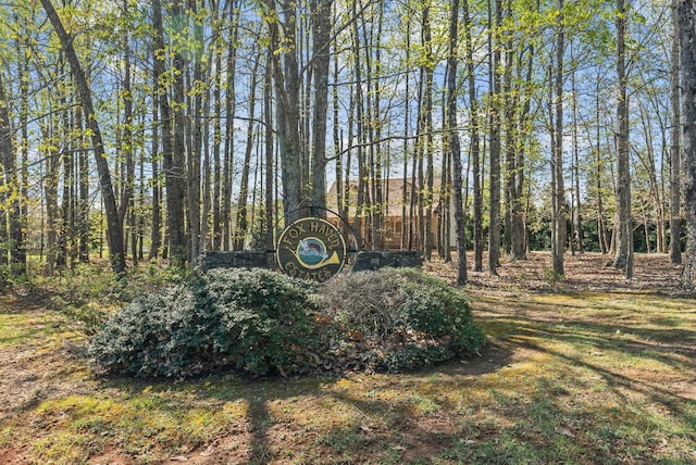 303 Somerset Pl, Rustburg, VA 24588 - view of yard