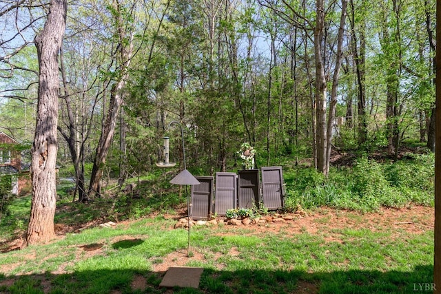 1085 Tori Ct, Forest, VA 24551 - view of yard