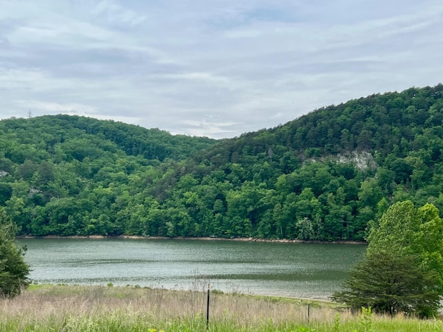 0 Talon Ridge Ct Sec 2, Pittsville, VA 24139