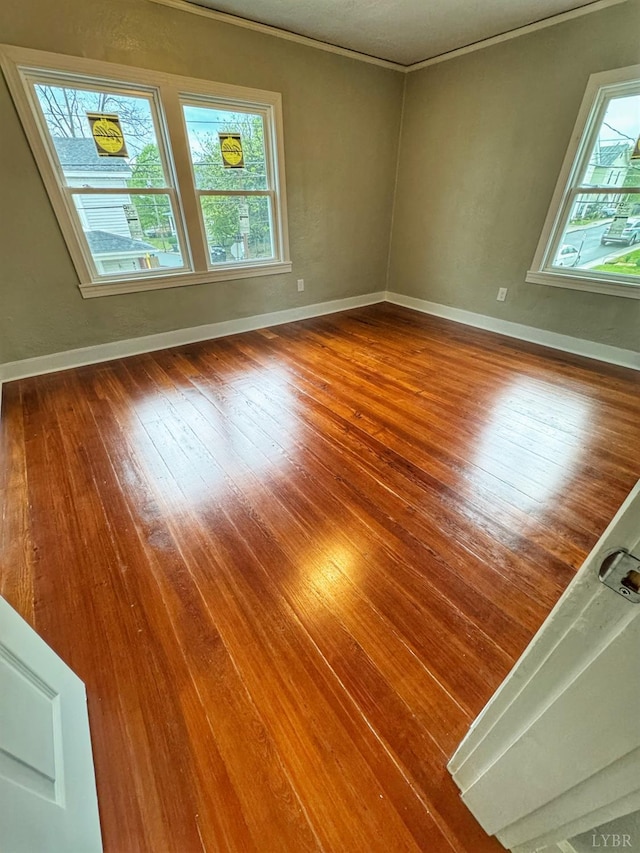 1225 Early St, Lynchburg, VA 24502 - photo 20