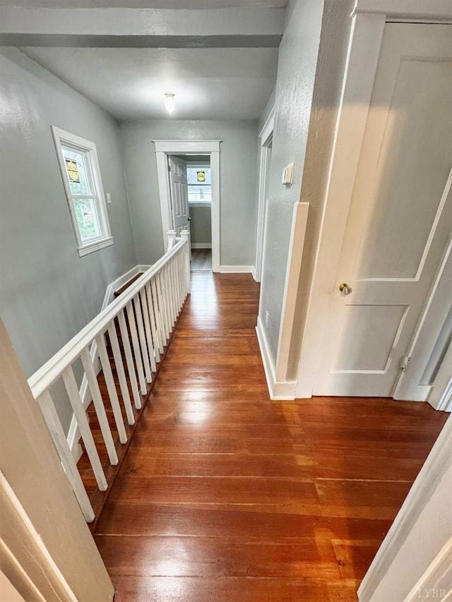 1225 Early St, Lynchburg, VA 24502 - hall featuring wood finished floors, an upstairs landing, plenty of natural light, and baseboards