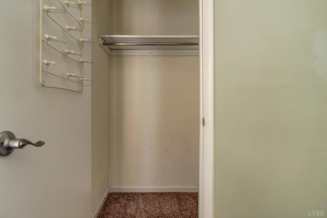 8108 Timberlake Rd Unit 135, Lynchburg, VA 24502 - view of closet
