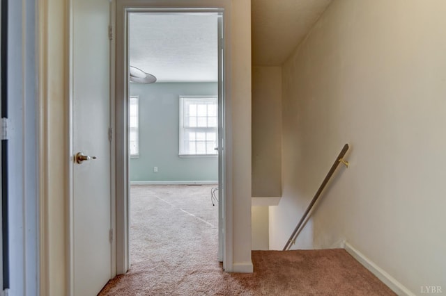 8108 Timberlake Rd Unit 135, Lynchburg, VA 24502 - hall with an upstairs landing, carpet, and baseboards