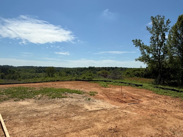 8666 Hat Creek Rd, Brookneal, VA 24528 - photo 19