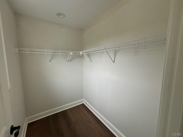1026 Misty Mountain Rd, Lynchburg, VA 24502 - walk in closet with dark wood-type flooring