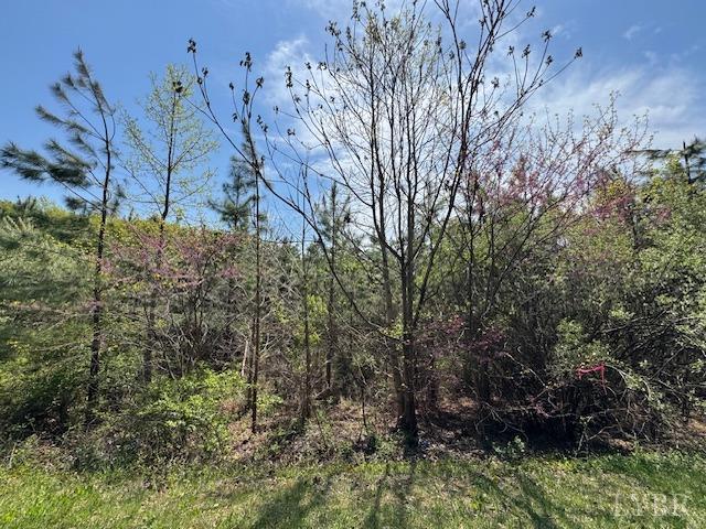 6 Spencer Rd, Concord, VA 24538
