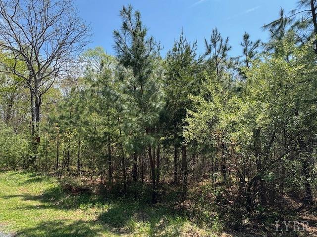 7 Spencer Rd, Concord, VA 24538
