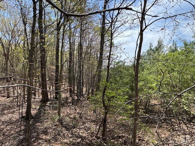 7 Spencer Rd, Concord, VA 24538