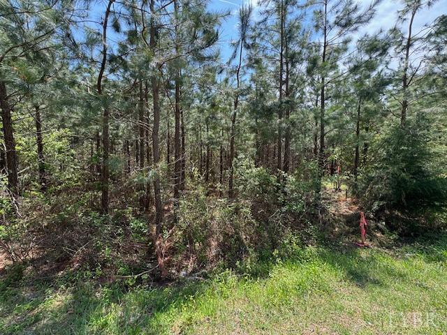 7 Spencer Rd, Concord, VA 24538