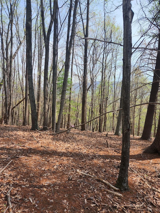 303 Harrison Creek Rd, Amherst, VA 24521