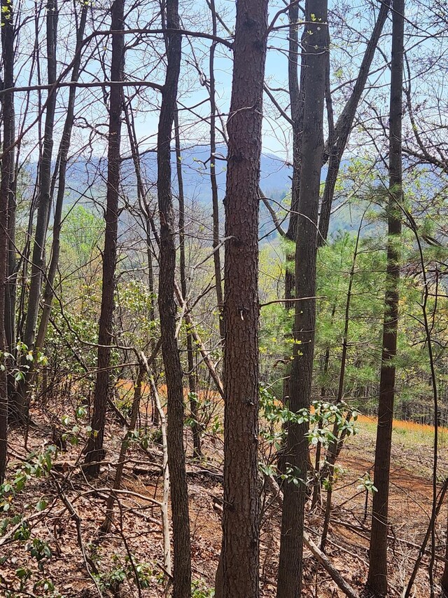 303 Harrison Creek Rd, Amherst, VA 24521