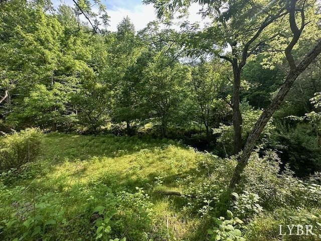 303 Harrison Creek Rd, Amherst, VA 24521