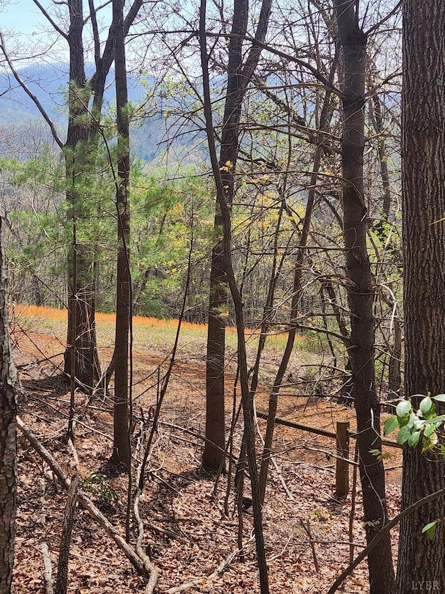 303 Harrison Creek Rd, Amherst, VA 24521