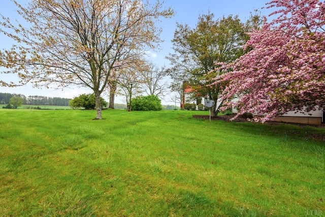 281 Calohan Rd, Rustburg, VA 24588 - view of yard