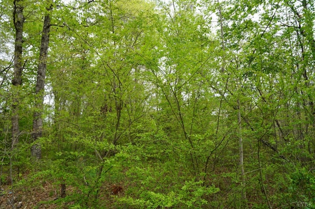 0 Walker Rd, Brookneal, VA 24528